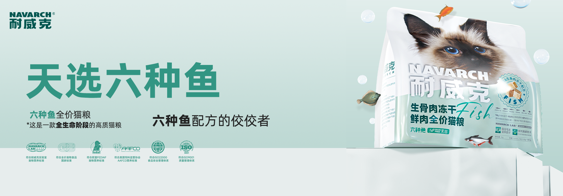 首頁Banner2